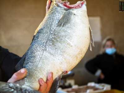 Qui tra cozze, polpi, cicale, merluzzi e spigole gigantesche, si percepisce ancora il popolare spirito del mercato